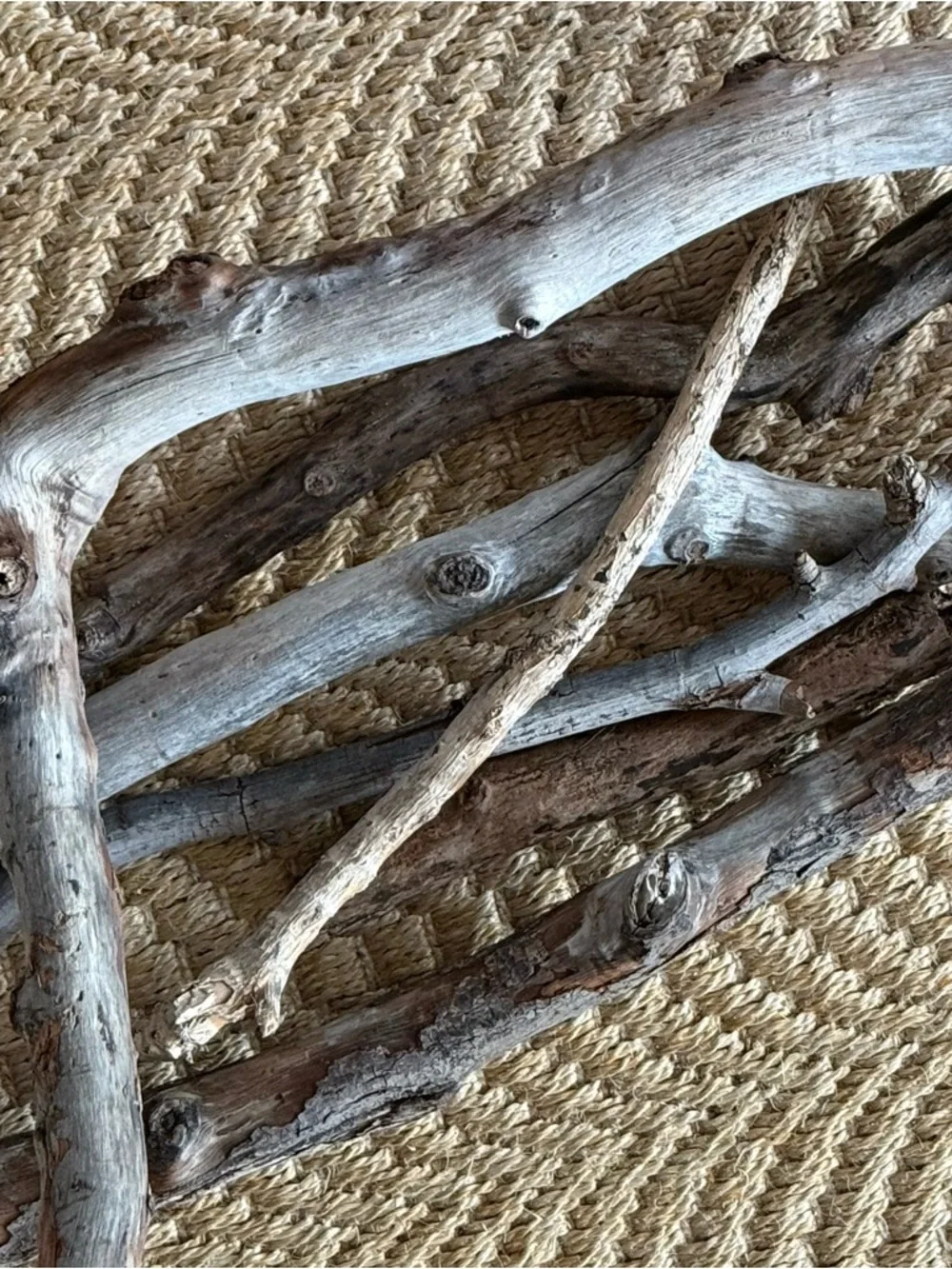 Natural Driftwood Bundle of 7 Neutral Wood South Florida Beach Wedding Decor